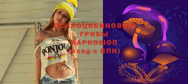 гидра Алексеевка
