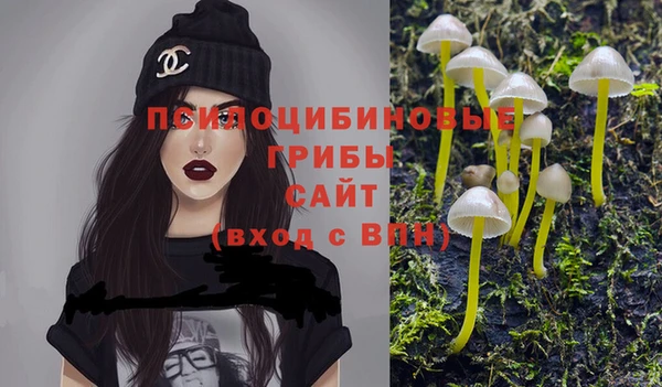 таблы Алексин