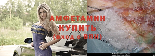 гидра Алексеевка