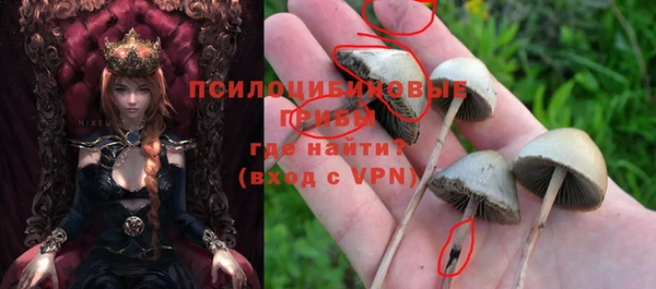 таблы Алексин