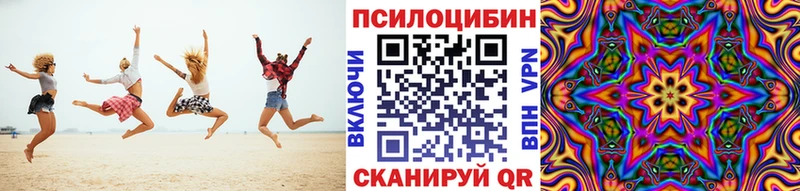 дарнет шоп  Струнино  Псилоцибиновые грибы ЛСД 